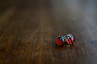 ladybird earrings 1